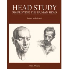 Head Study - Simplifying the Human Head