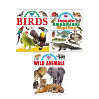 My First Board book Set 1 (Bird,Inspects,Wild Animals)