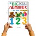 Sawan Big Picture Board Book Number