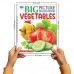 Sawan Big Picture Board Book Vegetables