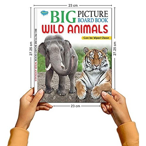 Manoj Publications Wild Animals: Sawan: : Books