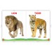 Sawan Big Picture Board Book Wild Animals