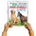 Sawan Big Picture Board Book Farm Animals