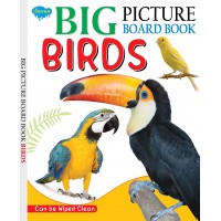 Sawan Big Picture Board Book Birds