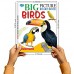 Sawan Big Picture Board Book Birds