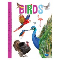 My First Board Book Birds